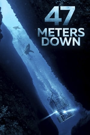 47 Metres Down (2017) Hindi Dual Audio 480p BluRay 300MB 47 Metres Down (2017) Hindi Dual Audio 480p BluRay 300MB